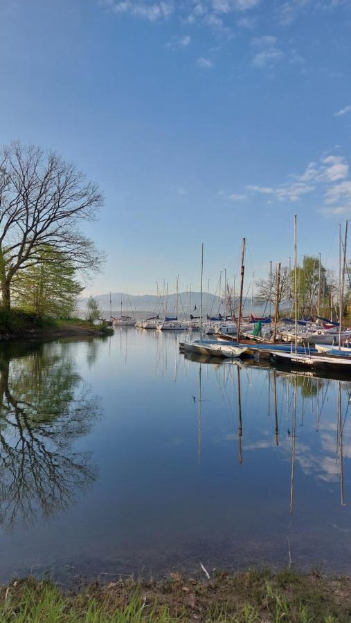 Laguna24 Jezioro Zywieckie Klimatyzowany Apartament 40 M2 Zarzecze  Bagian luar foto